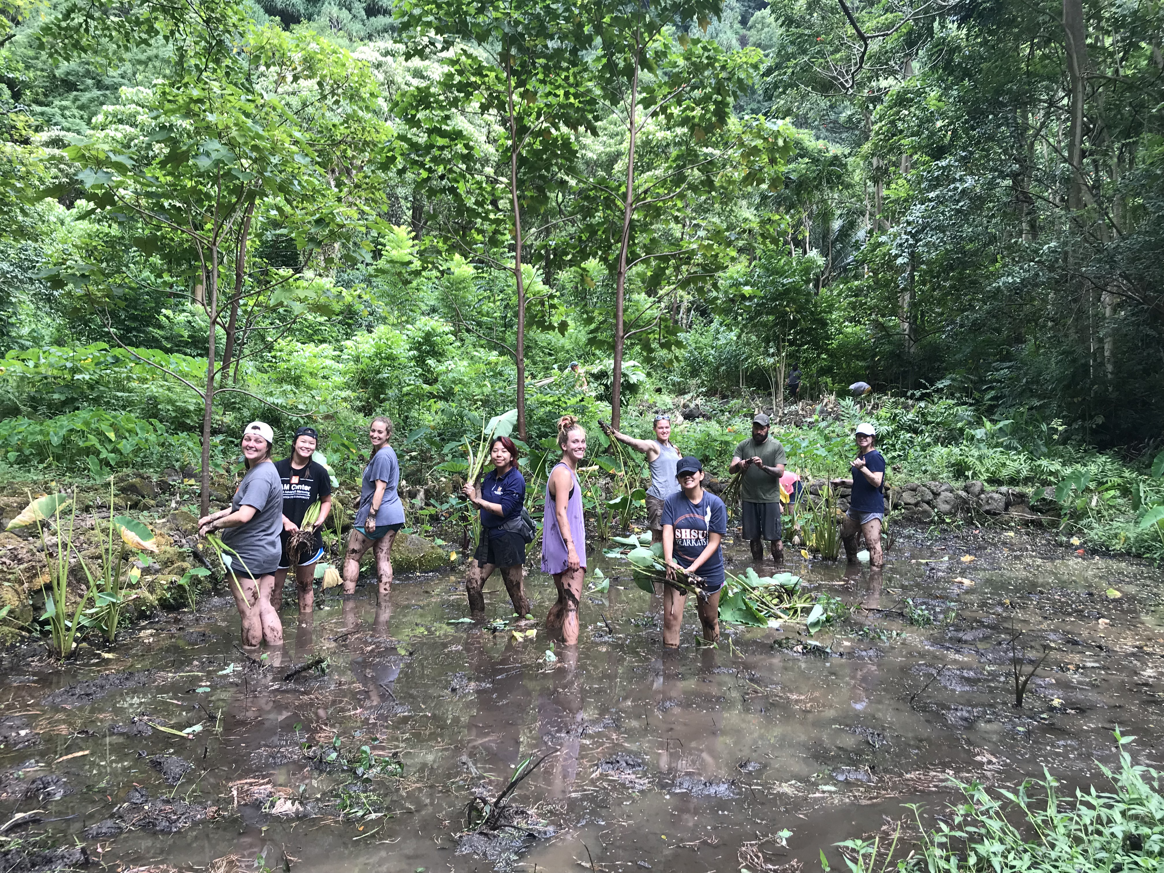 Environmental and Geoscience students in the field
